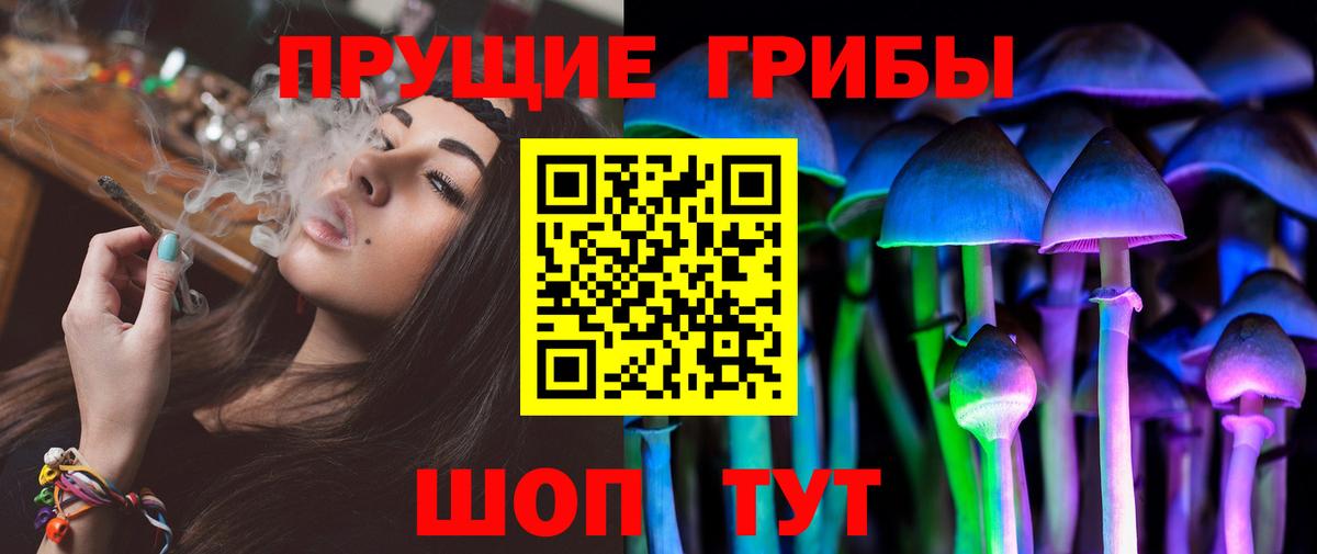 Галлюциногенные грибы Psilocybine cubensis Владивосток